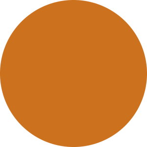 Direct pigment color gel 150ml arancione