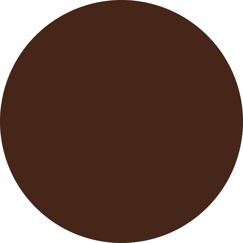 raywell raywell direct pigment color gel 150ml cioccolato - foto 2 raywell raywell direct pigment color gel 150ml cioccolato - foto 2
